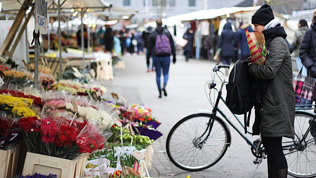barcellosalice-flowers-2696737_1920