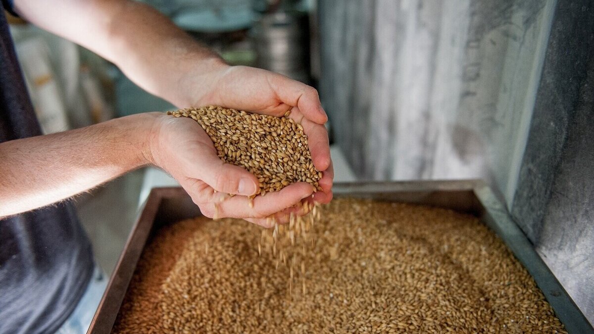 uirams-malt-4950433