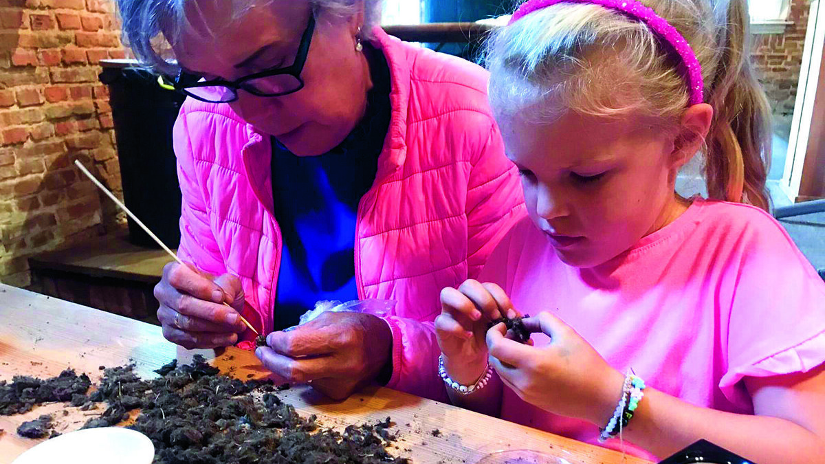 Uilenballen pluizen - Bernadette Koopmans.jpg