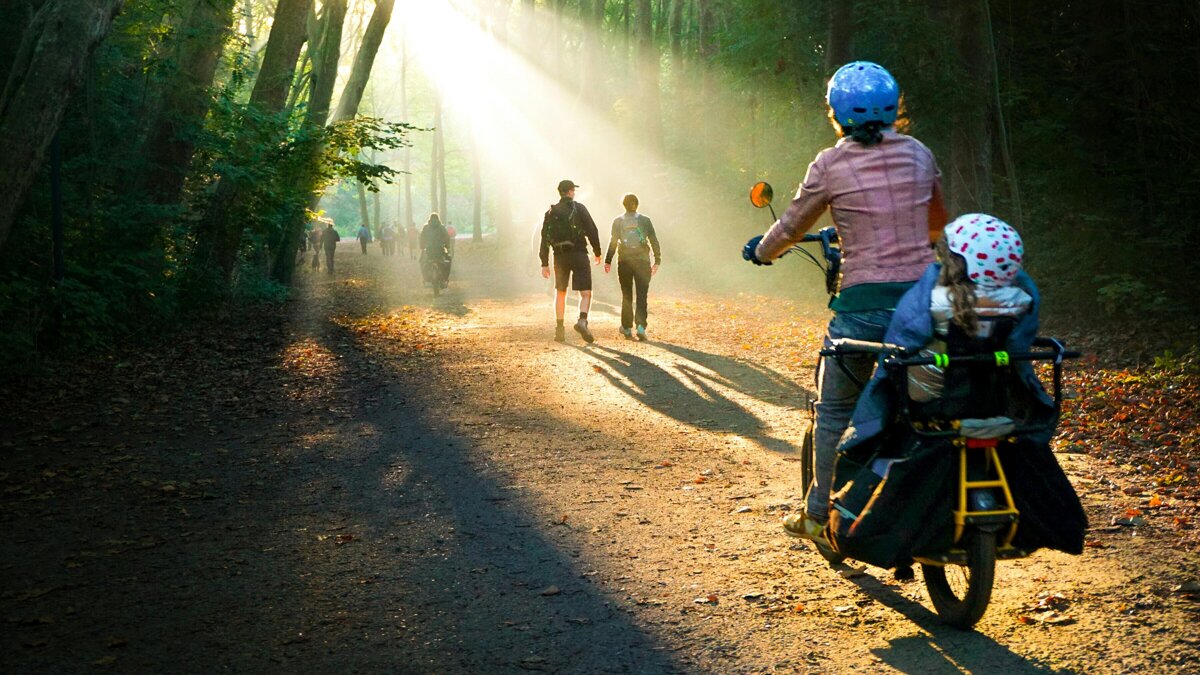 Fietsen bos